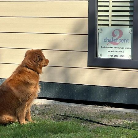 Chalet2Rent Ameland Ballum エクステリア 写真